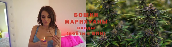 шишки Богданович