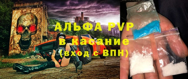 шишки Богородицк