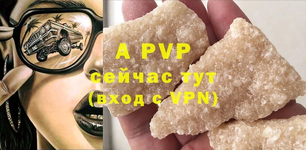 шишки Богданович