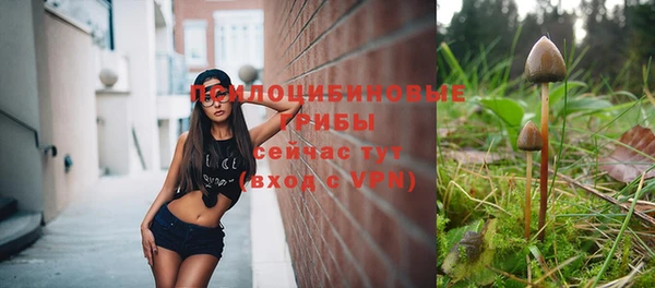 винт Богородск