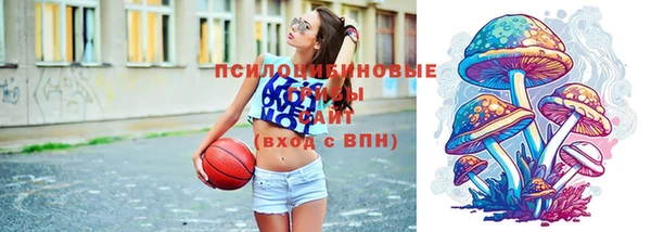круглые Бородино