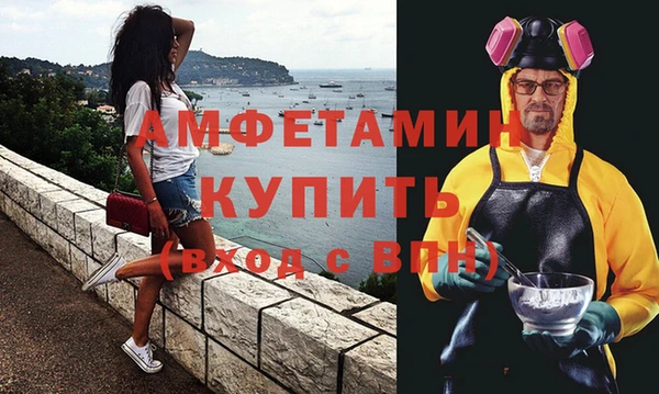 шишки Богородицк
