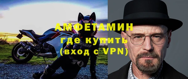 шишки Богородицк