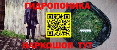 молекула духа Можайск