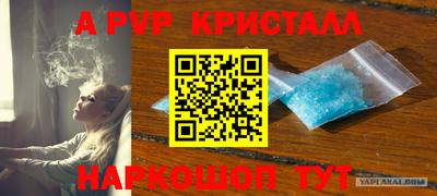 молекула духа Можайск