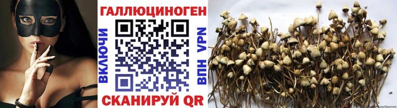 Псилоцибиновые грибы Magic Shrooms  сколько стоит  мориарти клад  Воркута 