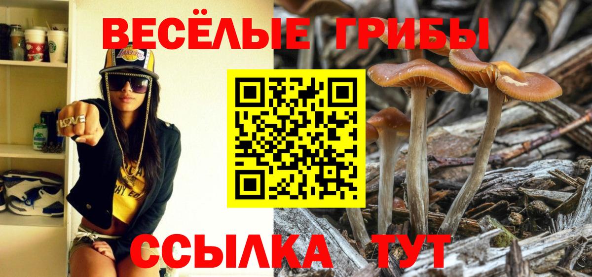 Воркута  наркота  Вход с VPN  Галлюциногенные грибы Psilocybe  Галлюциногенные грибы Magic Shrooms 