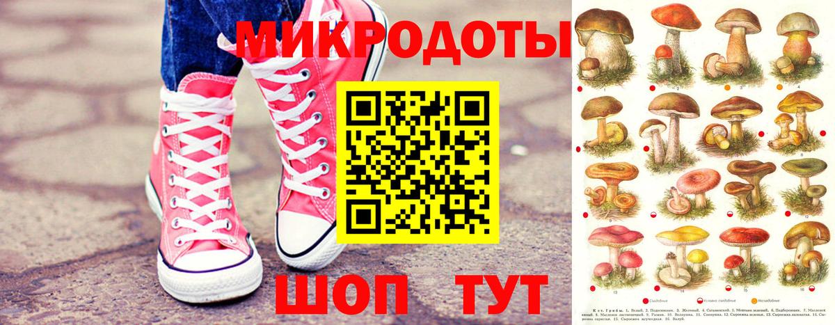 Галлюциногенные грибы мухоморы Воркута